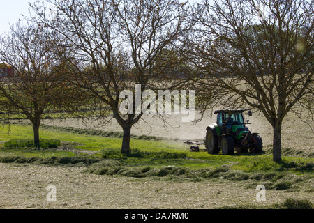 Traktor fahren hin und her zwischen den Bäumen, ein Feld von Heu im Frühjahr, Aquitaine Region Frankreichs zu ernten Stockfoto