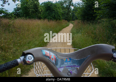 Paris, Frankreich, Radfahren im öffentlichen Park, Bois de Vincennes, Sommertag, Detail, Handelsbars, Französischer Stadtpark, Öffentliches Fahrradaustauschprogramm Stockfoto