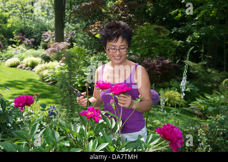Eine asiatische Frau arbeitet in ihrem schönen Garten Stockfoto