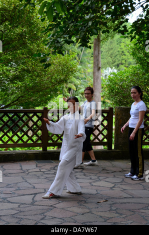 Üben am frühen Morgen Tai Chi Übung im park Stockfoto