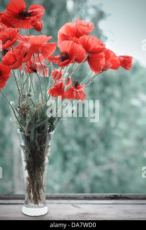 Bouquet von Mohn in Glasvase auf der Fensterbank Stockfoto