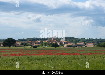 Foto von einer europäischen Kleinstadt unter blauem Himmel mit Wildblumen im Vordergrund. Stockfoto