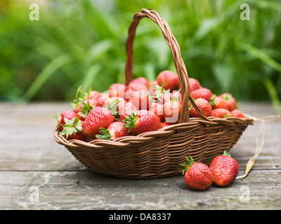 Rote Erdbeeren in einem Korb auf Holztisch Garten Hintergrund Stockfoto