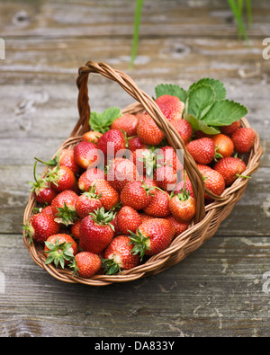 Reife Erdbeeren in einem Korb auf alten Holztisch Stockfoto