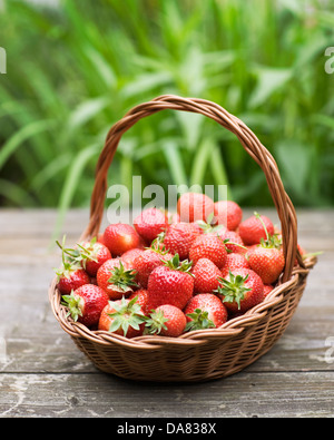 Rote Erdbeeren in einem Korb auf Holztisch Garten Hintergrund Stockfoto