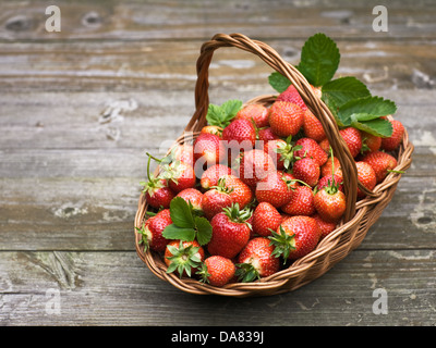 Reife Erdbeeren in einem Korb auf alten Holztisch Stockfoto