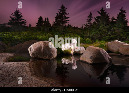 Ein Modell gekleidet als Marie Antoinette in Halifax, Nova Scotia, Kanada, 31. Juli 2012 darstellt. (Adrien Veczan) Stockfoto