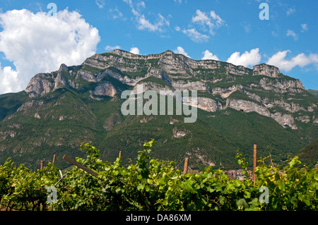 Berge oberhalb der Weinberge, irgendwo zwischen Verona und Bozen, Italien Stockfoto