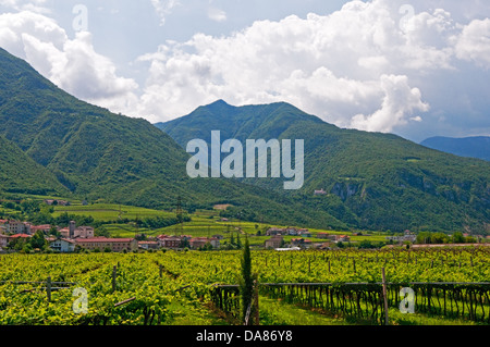 Berge oberhalb der Weinberge, irgendwo zwischen Verona und Bozen, Italien Stockfoto