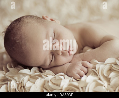 Schönen schlafenden Neugeborenen auf Blütenblätter Stockfoto