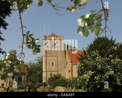 Schöne Dorchester auf Themse Abbey Church of St Peter & St Paul Stockfoto