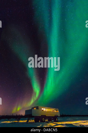 Nordlichter (Aurora Borealis) sichtbar vom Churchill River über touristische Aurora watching Buggy in der Tundra, Churchill, MB Stockfoto