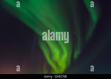 Nordlichter (Aurora Borealis) sichtbar vom Churchill River in der Tundra außerhalb von Churchill, Manitoba, Kanada Stockfoto