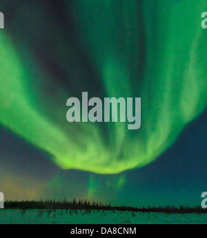 Nordlichter (Aurora Borealis) sichtbar vom Churchill River in der Tundra außerhalb von Churchill, Manitoba, Kanada Stockfoto