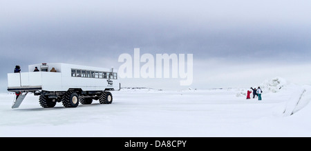 Menschen spielen im Schnee in der Tundra außerhalb von Churchill, Manitoba, Kanada mit Tundra Buggy im Blick. Stockfoto