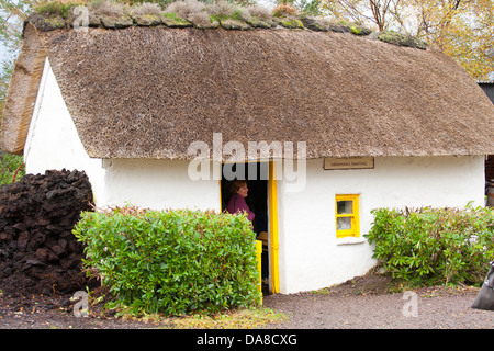 Die Tür und Strohdach einer Arbeiter-Hütte im Kerry Bog Village in Co Kerry in Irland Stockfoto