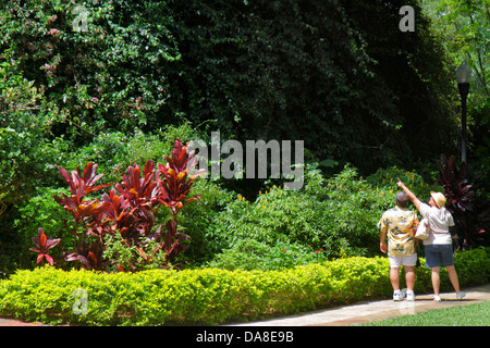 Florida Saint St. Petersburg, versunkene Gärten, botanische Pflanzen, Palmen, Mann Männer Erwachsene Erwachsene, Frau Frauen weibliche Dame, Paar, Besucher reisen trave Stockfoto