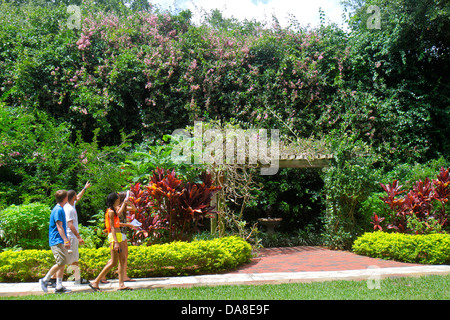 Florida Saint St. Petersburg, versunkene Gärten, botanische Gärten, Pflanzen, Palmen, Teenager Teenager Teenager Jugendliche Jugendliche Jugendliche Jugendliche Jugendliche Jugendliche, junge Jungen Junge Jungen Jungen Jungen Männer Stockfoto