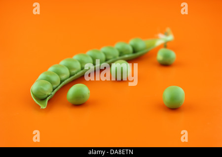 frische Erbsen Obst auf orangem Hintergrund. Stockfoto