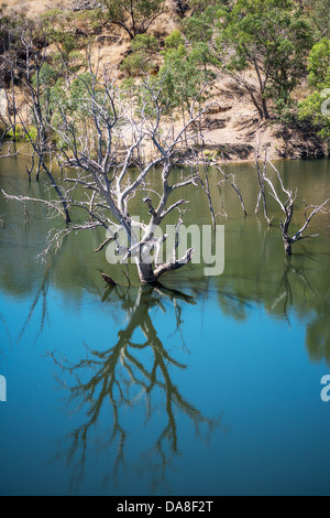 Die Sturt Schlucht Hochwasserschutz Damm Hochwasser Großveranstaltungen im Sturt River zu verhindern. Stockfoto