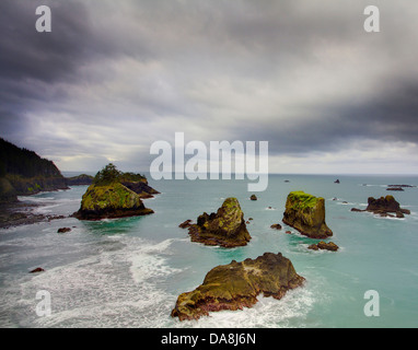 USA, USA, Amerika, Oregon, Brookings, Küste, Bandon Strand, Küste, Face Rock State Park, Samuel Boardman, State Pa Stockfoto