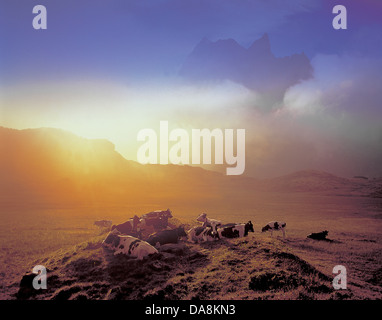 Österreich, Europa, Tirol, St. Anton am Arlberg, Sankt Anton, Verwall, Winterjöchle, silberne Taler Winterjöchle, Vorarlberg, silv Stockfoto