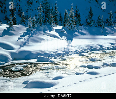 Österreich, Europa, Tirol, Arlberg, St. Anton, St. Anton am Arlberg, Verwall, Winter, Bach, Schnee, Rosanna, Bäume, Eis, Track, tr Stockfoto
