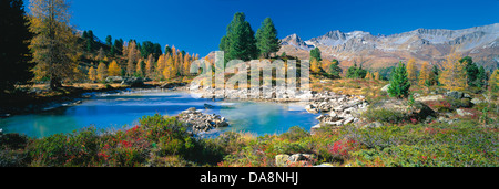 Österreich, Europa, Tirol, Paznaun, Ischgl, Mathon, Berglisee, See, See, Wasser, Bäume, Arven, Lärchen, Zwerg Shru Stockfoto