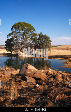 Winterlandschaft in der Nähe von Underberg, Kwazulu Natal, Südafrika Stockfoto