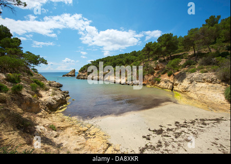 Balearen, Mallorca, Mallorca, Spanien, Europa, außerhalb, Sandstrand, Sandstrände, Strand, Meer, Strände, Küsten, Echtheitszertifikate Stockfoto