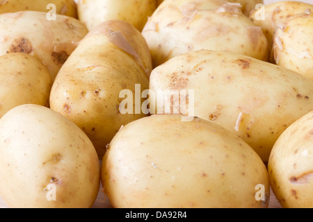 Schließen Sie herauf Bild von Jersey Royal Frühkartoffeln Stockfoto