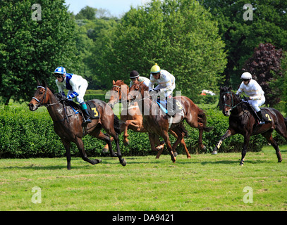 Deutschland, Europa, Krefeld, Rhein, Niederrhein, Rheinland, Nordrhein Westfalen, NRW, Galopp, Rennstrecke, Pferd laufen, racecour Stockfoto