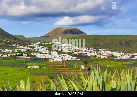 Spanien, Europa, Kanarische Inseln, Haria, Lanzarote, Insel, Mague, Dorf, Landwirtschaft, Kaktus, Pflanzen, bunte, trocken, Blumen, l Stockfoto