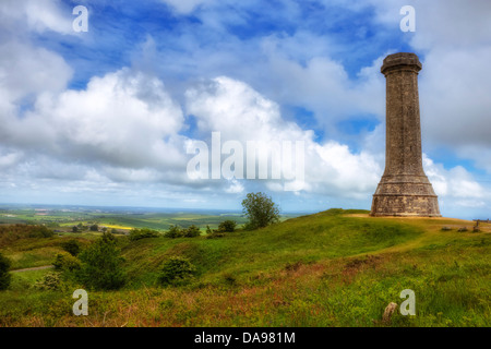 Hardy Monument, Dorset, Großbritannien Stockfoto