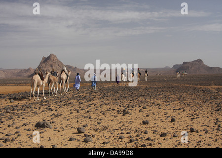 Algerien, Afrika, Nordafrika, Wüste, Stein, Wüste, steinige Wüste, Sahara, Tamanrasset, Hoggar, Ahaggar, Berg, Berge, Tu Stockfoto