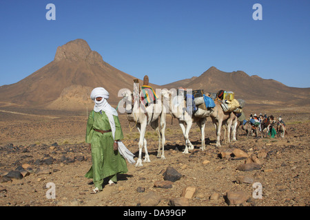 Algerien, Afrika, Nordafrika, Wüste, steinigen Wüste, Steinwüste, Kauderwelsch Ebene, Sahara, Tamanrasset, Hoggar, Ahaggar, Berg, Stockfoto