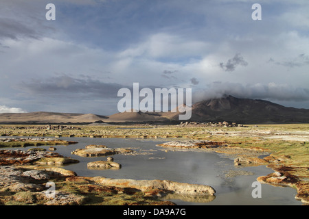 Chile, Nord Chile, Norte Grande, Anden, Altiplano, Südamerika, Lauca Nationalpark, Landschaft, Vegetation, Berg, Hütte Stockfoto