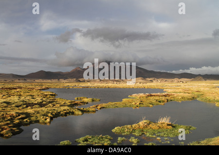 Chile, Nord Chile, Norte Grande, Anden, Altiplano, Südamerika, Lauca Nationalpark, Landschaft, Vegetation, Berg, Hütte Stockfoto