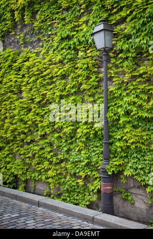 Laternenpfahl gegen Efeu bedeckt Wand in Montmartre, Paris Frankreich Stockfoto