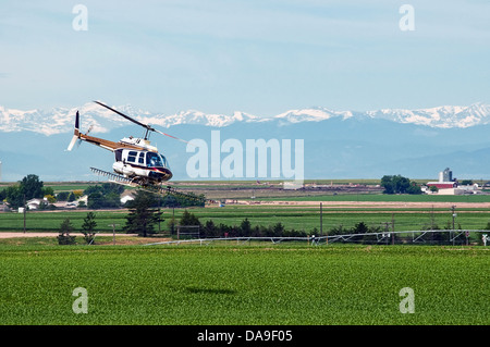 Hubschrauber verwendet, um einen bepflanzten Feld in Colorado, USA Insektizid zuweisen Stockfoto