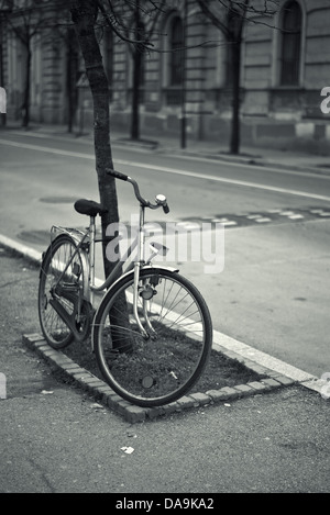 Altes Fahrrad gelehnt auf dem Baum auf der Straße, schwarze und weiße Vintage-Stil Bild. Stockfoto