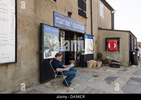 Meerwasseraquarium Cob Lyme Regis Doset UK Stockfoto