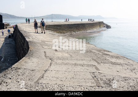 Der Cob Lyme Regis Dorset UK Stockfoto