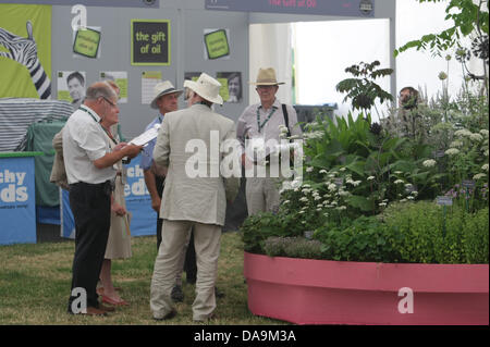 London, UK. 8. Juli 2013. RHS Hampton Court Palace Flower Show. Bildnachweis: Martyn Wheatley/Alamy Live News Stockfoto