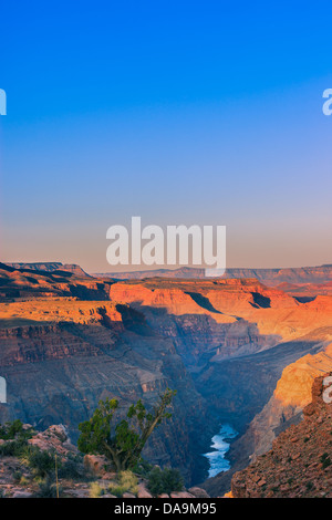 Sonnenaufgang am Grand Canyon N.P North Rim mit dem Blick von Toroweap, Arizona, USA Stockfoto