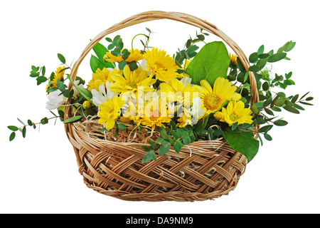 Bunter Strauß von Gerbera in Wicker-Geschenk-Korb isoliert auf weißem Hintergrund. Stockfoto