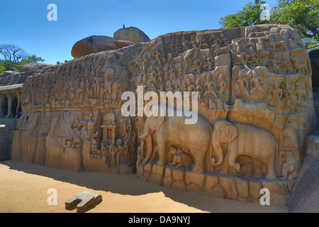 Indien, Süd-Indien, Asien, Tamil Nadu, Mamallapuram, Mahabalipuram, Felsen-schneiden, Architektur, Ajunas Buße, Welterbe, kündigen Stockfoto