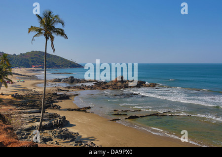 Indien, Süd-Indien, Asien, Goa, Vagator Beach, Vagator, Strand, schön, farbig, bunt, Palmen, Tourismus, Reisen Stockfoto