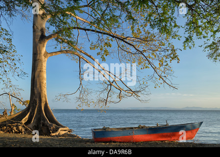 Mittelamerika, Nicaragua, Rivas, Isla Ometepe, UNESCO, Biosphärenreservat, Preserve, Insel, Boot, See, Nicaragua-See, Baum, Moyogalp Stockfoto