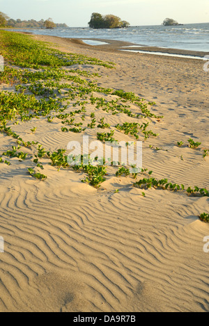 Mittelamerika, Nicaragua, Rivas, Isla Ometepe, UNESCO, Biosphärenreservat, Preserve, Insel, Lago Nicaragua, Sand, Dünen, Strand, Natur, Stockfoto